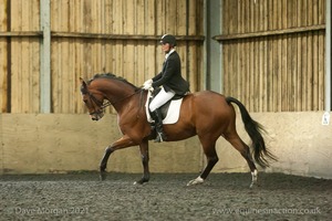 Isis Dressage Crown Farm Show 29th April 2012